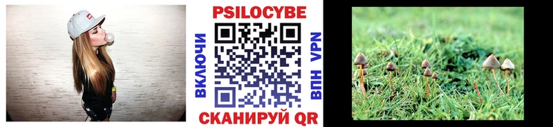 Галлюциногенные грибы Psilocybe  Камбарка 